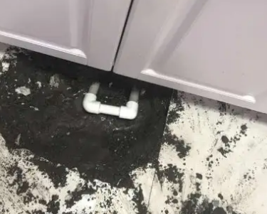 七里河查漏水哪家好